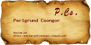 Perlgrund Csongor névjegykártya
